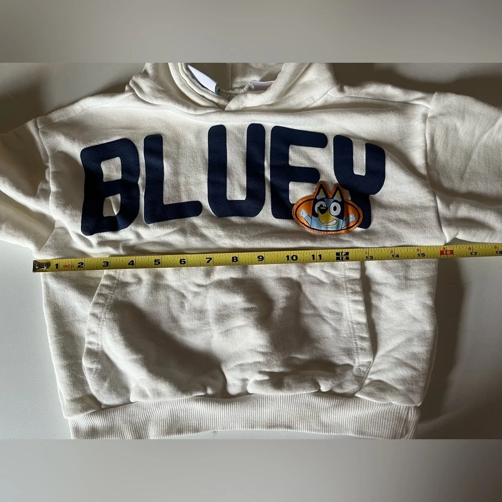Kids Zara Bluey Character Cartoon TV Show Hoodie Sweatshirt size 5
